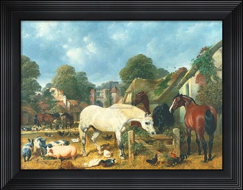 Framed In The Paddock Print