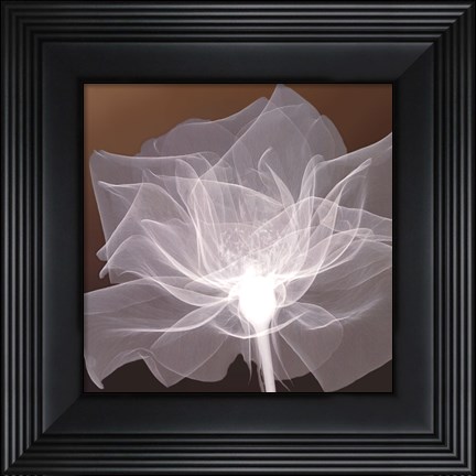 Framed Sheer Delicacy Print