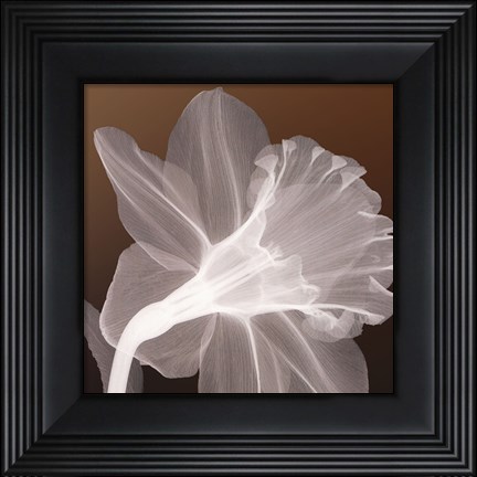 Framed Ruffled Elegance Print