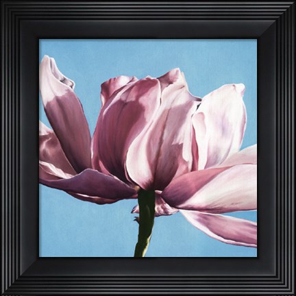 Framed Magnolia In A Cloudless Sky Print