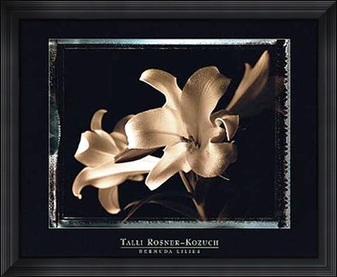 Framed Bermuda Lilies Print