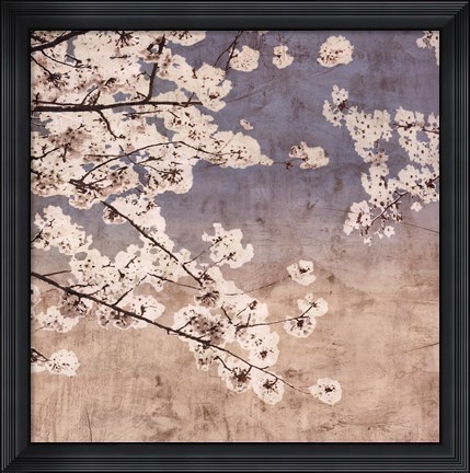 Framed Cherry Blossoms II Print