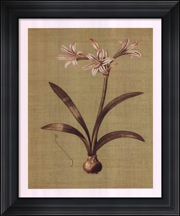 Framed Botanica Verde I Print