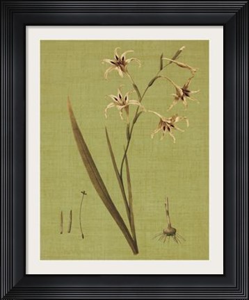 Framed Botanica Verde IV Print