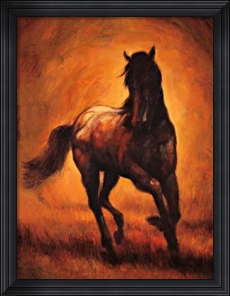 Framed Stallion I Print