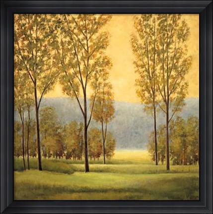 Framed Misty Morning I Print