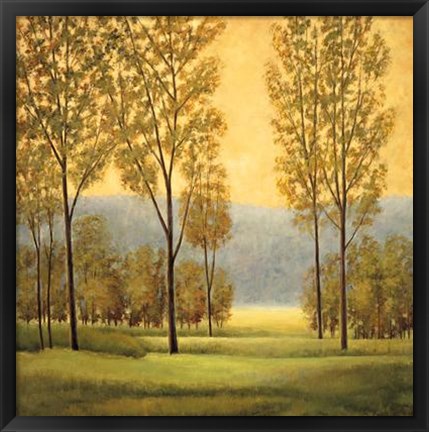 Framed Misty Morning I Print