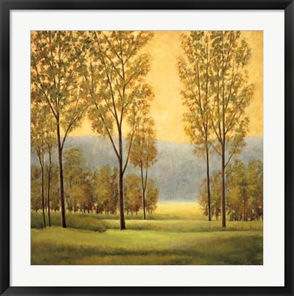 Framed Misty Morning I Print