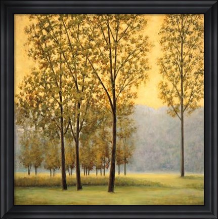 Framed Misty Morning II Print