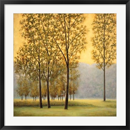 Framed Misty Morning II Print