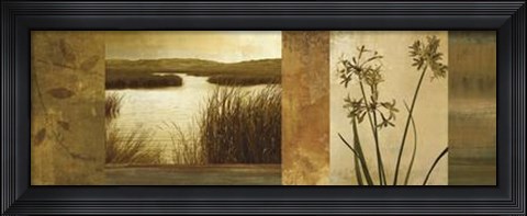 Framed Laguna I Print