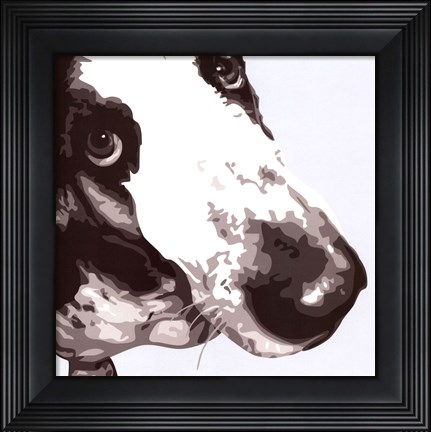 Framed Bassett Hound Print