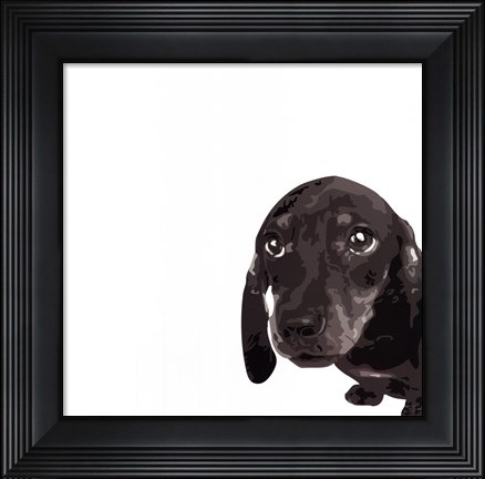 Framed Dachshund Print