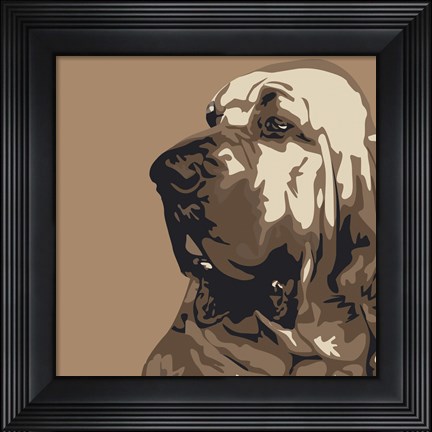 Framed Bloodhound Print