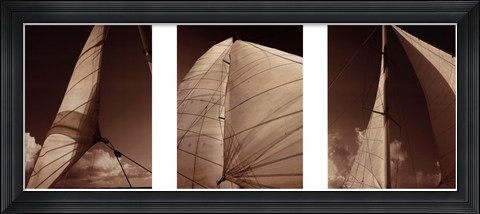 Framed Windward Sails Triptych Print