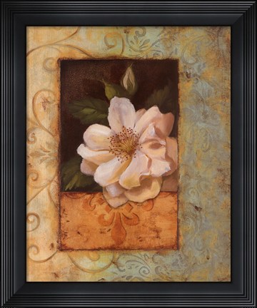Framed Antique Rose II - Special Print