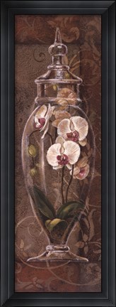Framed Asian Apothecary II Print