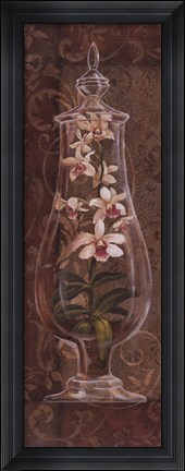 Framed Asian Apothecary I Print