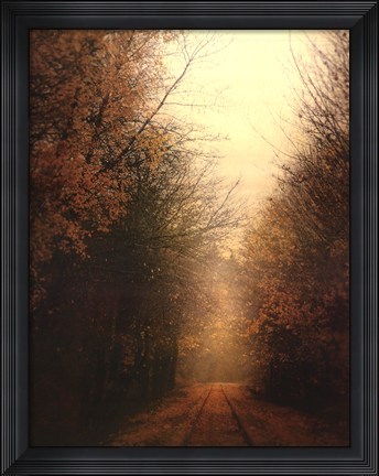 Framed Road Of Mysteries I Print