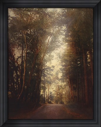 Framed Road Of Mysteries II Print