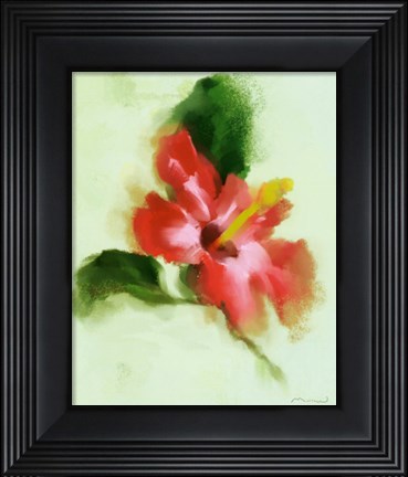 Framed Hibiscus Print