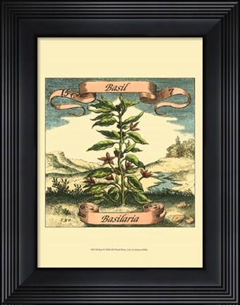 Framed Basil Print