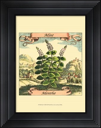 Framed Mint Print