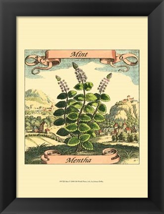 Framed Mint Print