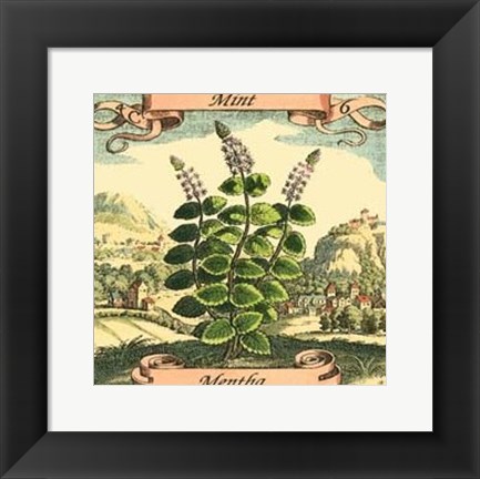 Framed Mint Print