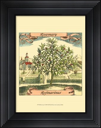 Framed Rosemary Print