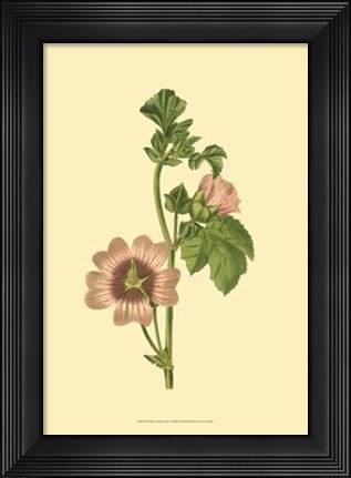 Framed Tropical Ambrosia II Print