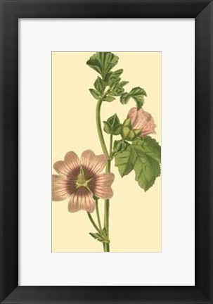 Framed Tropical Ambrosia II Print