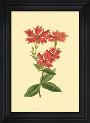 Framed Le Fleur Rouge III Print