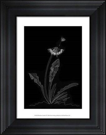 Framed Dandelion Garden II Print