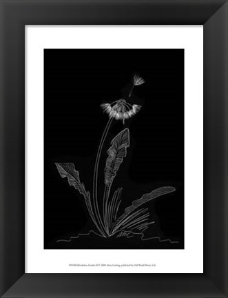 Framed Dandelion Garden II Print