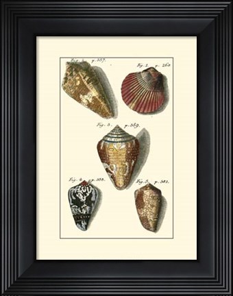 Framed Neptune&#39;s Treasure I Print