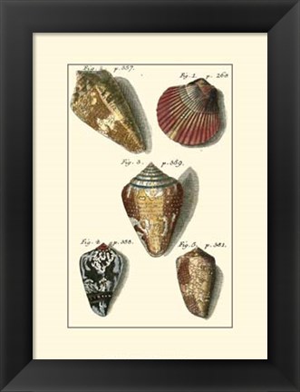 Framed Neptune&#39;s Treasure I Print