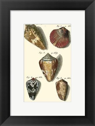 Framed Neptune&#39;s Treasure I Print