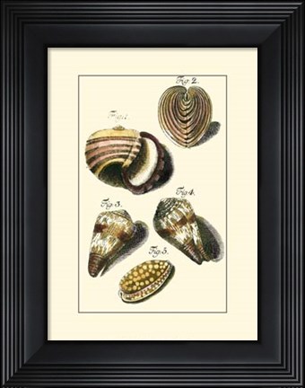 Framed Neptune&#39;s Treasure II Print