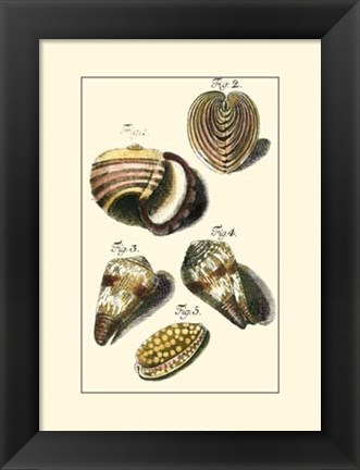 Framed Neptune&#39;s Treasure II Print