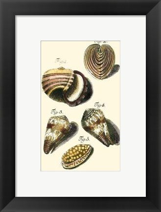 Framed Neptune&#39;s Treasure II Print