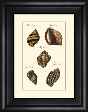 Framed Neptune&#39;s Treasure IV Print