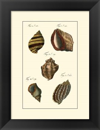 Framed Neptune&#39;s Treasure IV Print