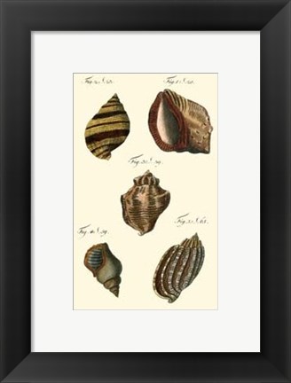 Framed Neptune&#39;s Treasure IV Print