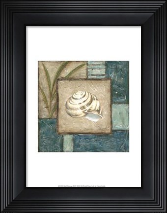 Framed Shell Montage III Print