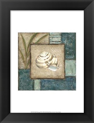 Framed Shell Montage III Print