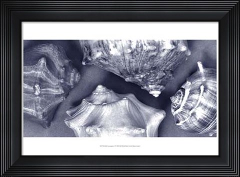 Framed Shell Convergence I Print