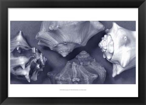 Framed Shell Convergence II Print