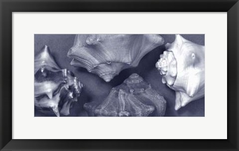 Framed Shell Convergence II Print