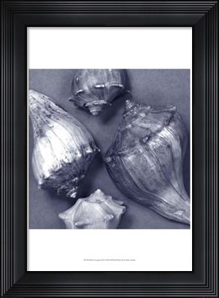 Framed Shell Convergence III Print
